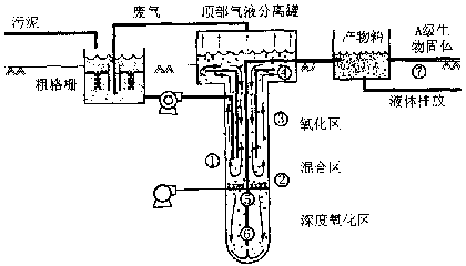 VERTADTM污泥處理工藝