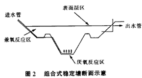 組合式穩(wěn)定塘工藝處理養(yǎng)豬廢水