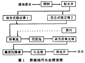 組合式穩(wěn)定塘工藝處理養(yǎng)豬廢水