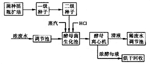 酵母菌處理賴氨酸生產(chǎn)廢水