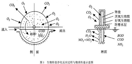 生物轉(zhuǎn)盤法處理甜菜制糖廢水