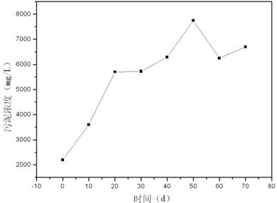 CMBR一體化超聲波振動膜生物反應技術