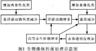 【污水處理公司】城市景觀水處理技術(shù)之生態(tài)法