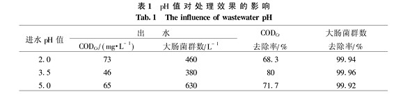 【污水處理技術(shù)】鐵屑微電解法深度處理醫(yī)院廢水