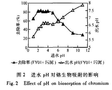 【屠宰污水處理】柱生物曝氣法吸附處理含鉻廢水