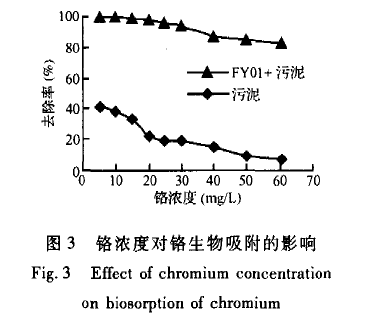 【屠宰污水處理】柱生物曝氣法吸附處理含鉻廢水