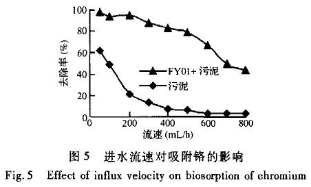 【屠宰污水處理】柱生物曝氣法吸附處理含鉻廢水