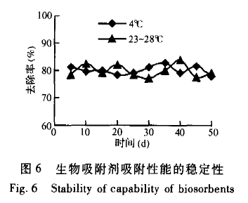 【屠宰污水處理】柱生物曝氣法吸附處理含鉻廢水