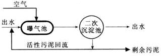 【污水處理工藝】影響微生物活性的因素