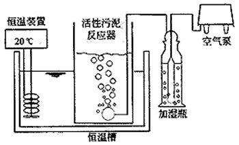 【污水處理工藝】活性污泥培養(yǎng)以及馴化調(diào)試期間的監(jiān)測和控制