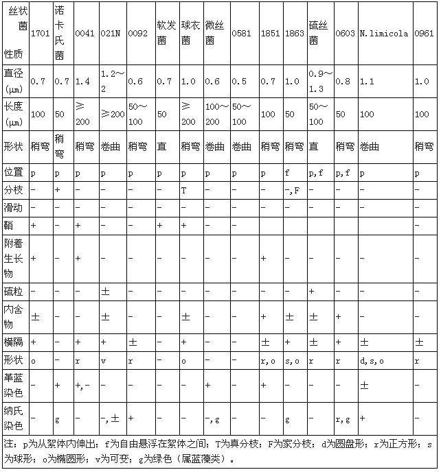 【污水處理廠】北京市高碑店污水處理廠污泥膨脹的控制