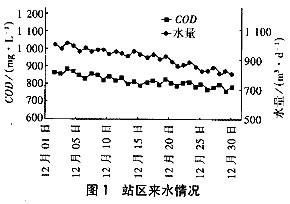 【污水處理廠】SBR運(yùn)行中污泥膨脹的發(fā)生與控制