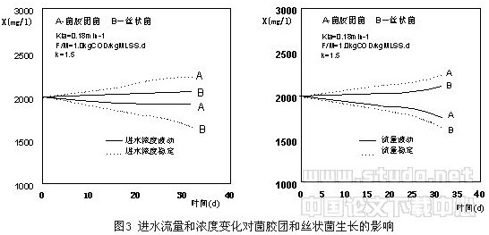 【污水處理廠】活性污泥絲狀菌膨脹控制的理論研究