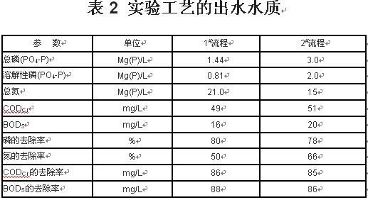 【污水處理廠】生物脫氮除磷工藝中的絲狀菌膨脹