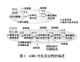 【噴漆廢水處理】ASM發(fā)展及其在SBR工藝中的應(yīng)用