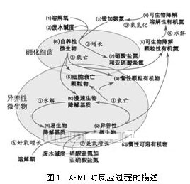 【噴漆廢水處理】ASM發(fā)展及其在SBR工藝中的應(yīng)用