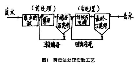 【生化污水處理】酵母前處理技術(shù)處理食品工業(yè)廢水