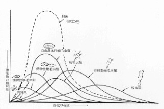 【生活污水處理】微生物在污水處理中的作用