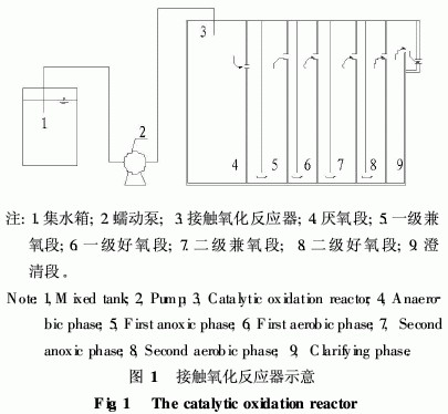 【污水處理技術】造紙廢水接觸氧化反應器的啟動及微生物特性研究