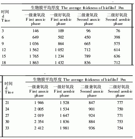 【污水處理技術】造紙廢水接觸氧化反應器的啟動及微生物特性研究