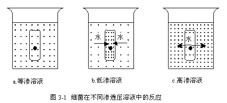 高鹽污水生物處理技術(shù)